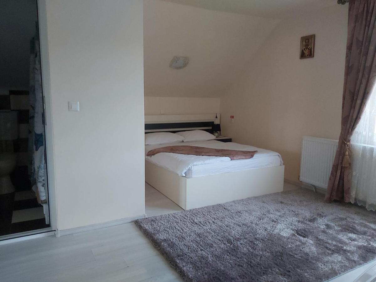 הוילה אריסני Casa Raluca מראה חיצוני תמונה
