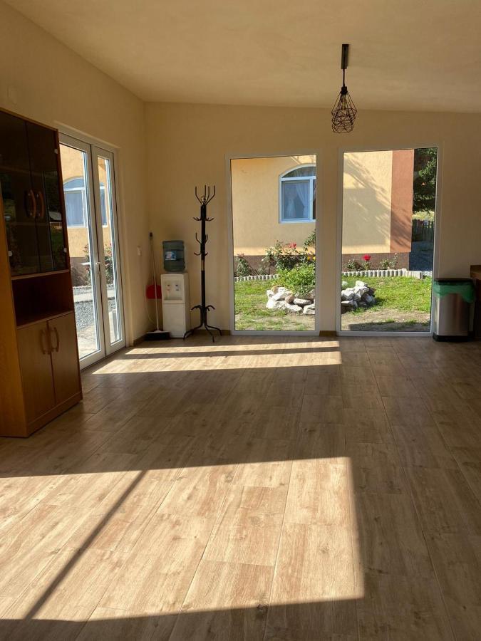 הוילה אריסני Casa Raluca מראה חיצוני תמונה