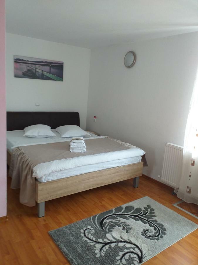 הוילה אריסני Casa Raluca מראה חיצוני תמונה