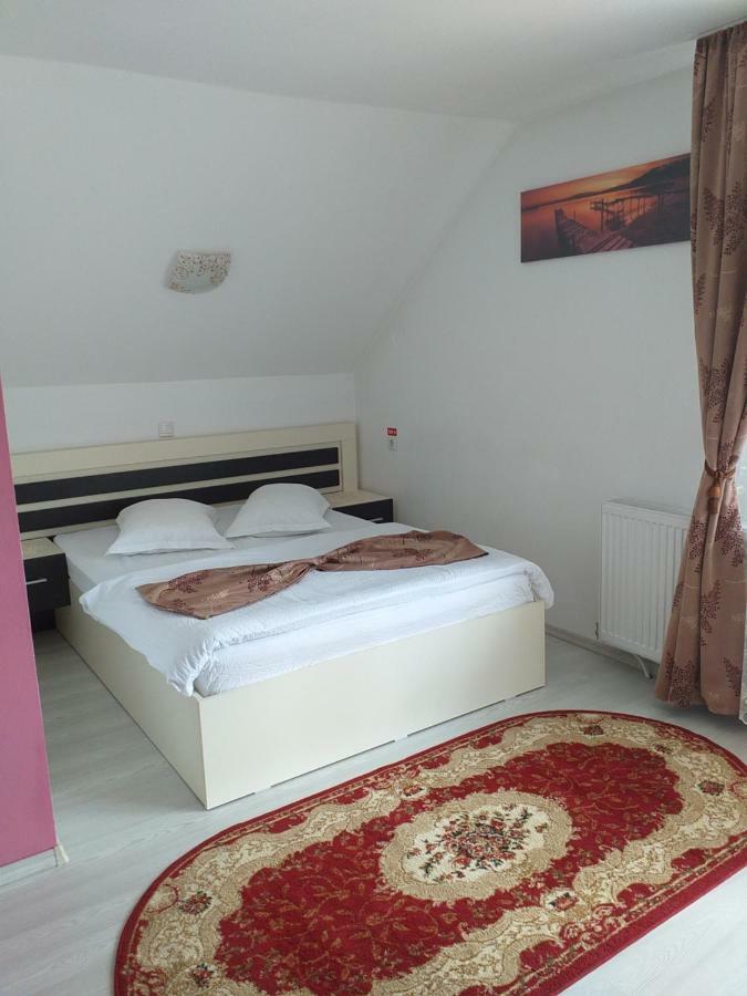 הוילה אריסני Casa Raluca מראה חיצוני תמונה