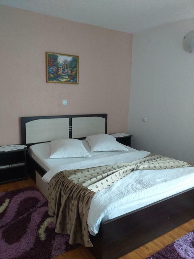 הוילה אריסני Casa Raluca מראה חיצוני תמונה